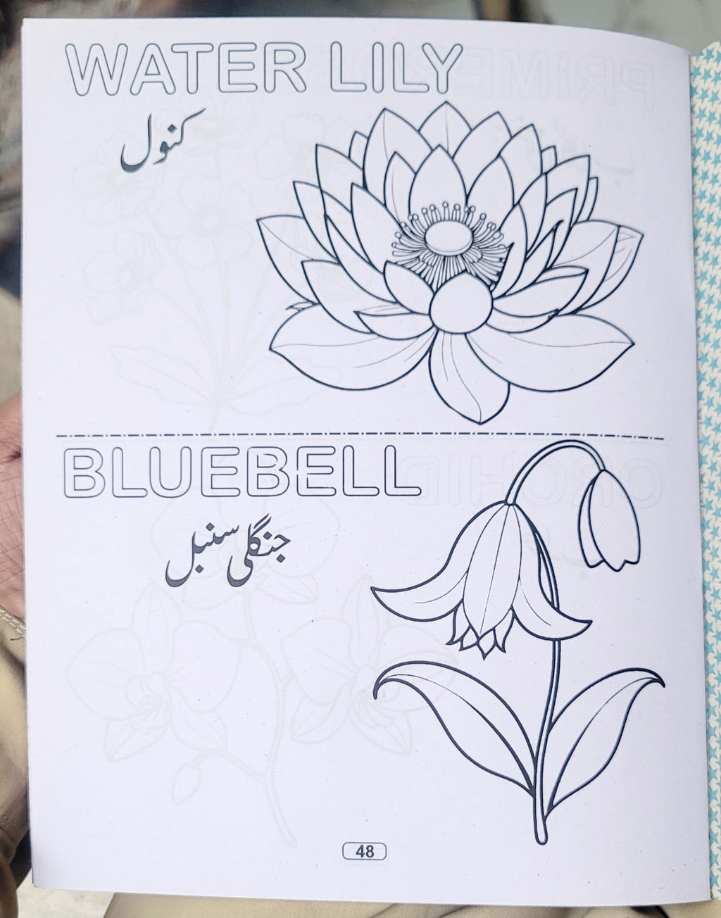 6 in 1 Fun to Learn Book – (English,Urdu,.drawing ) Kids Learning Book